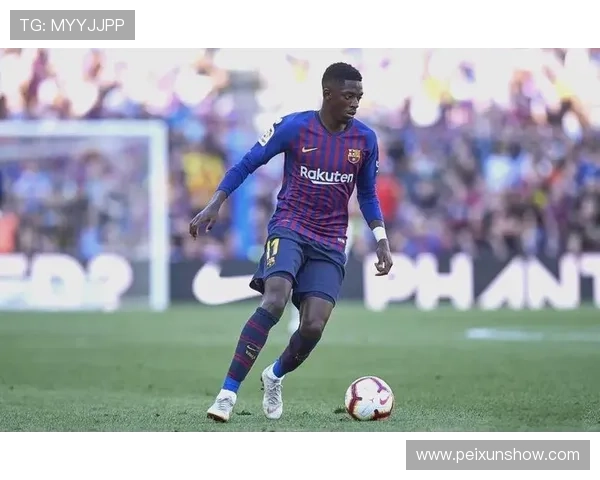 追逐梦想的绿茵传奇足球明星的成长与奋斗之路